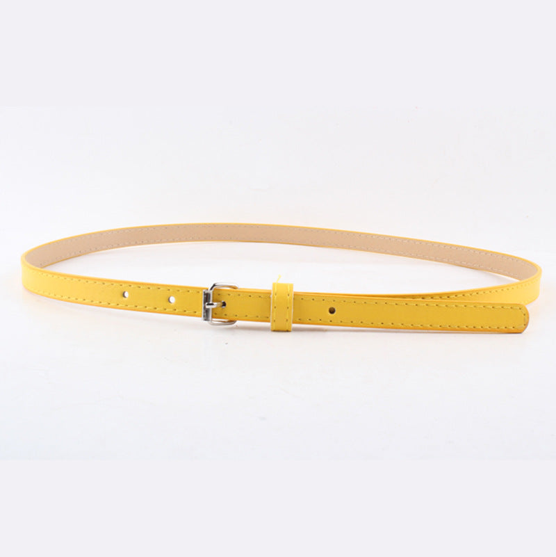 Thin Belt